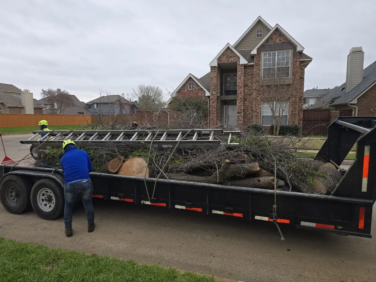 Expert Lot Clearing with proper safety equipment in Gate
